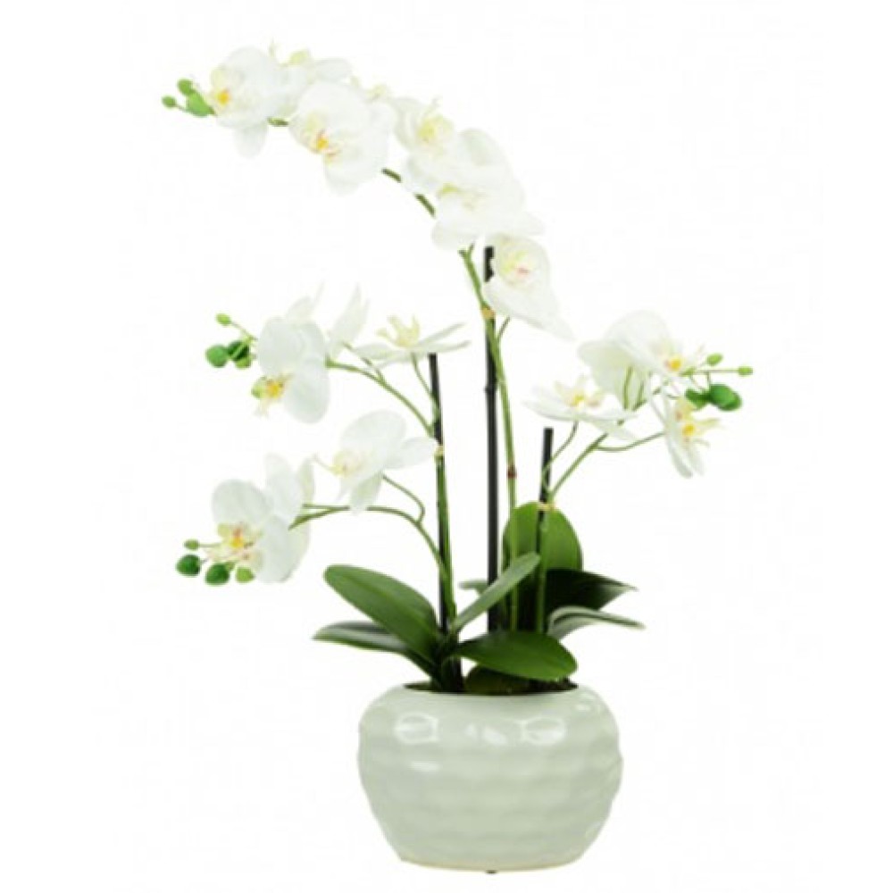 Real Touch Artificial Phalaenopsis Orchid Plants in White Dimpled Pot